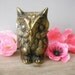vintage solid brass OWL beauty