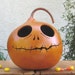 Halloween Gourd Jack O Lantern Natural Fall Harvest Jack Skellington Spooky Pumpkin Decoration