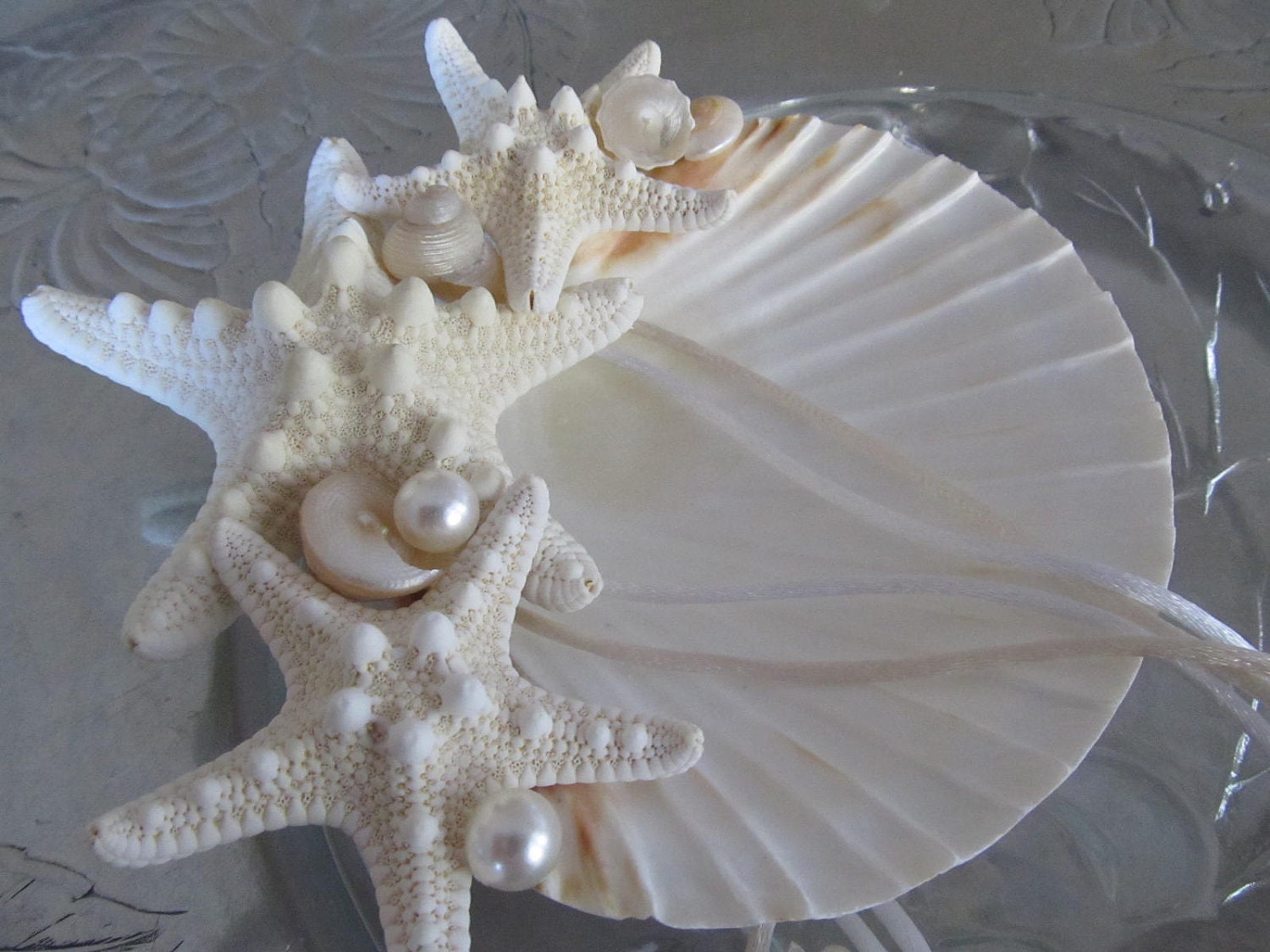 Beach Wedding Ring Bearer's Shell with White by PinkPelicanDesigns