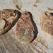 Wind chime parts Pressed Clay bead Fossil Alchemy supplies Free Shipping Rustic Earthy iron oxide ceramic pendant Reiki Infused Porcelain