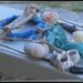 Water Tribe Shaman Dreamcatcher. Medicine Wheel. Deer Antler barnacle Urchin Shark bones & teeth seashell Coral abalone
