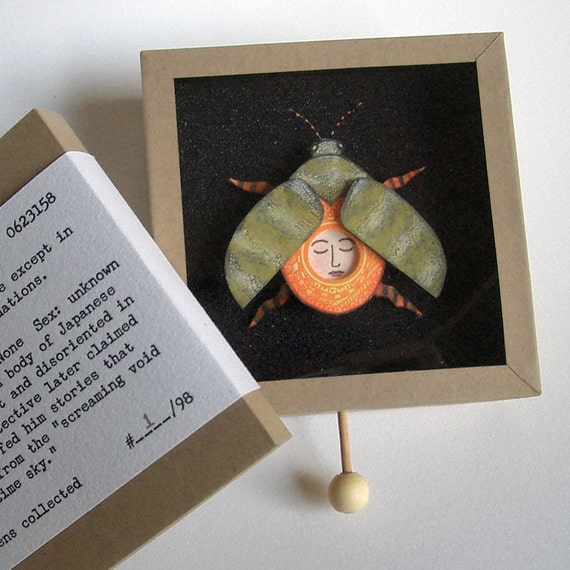 Insecta Coleoptera, Limited Edition Artist's Book