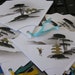Vintage Tally Cards 1950s - Made in Japan - with trees - symbols - huts - mountains black grey and white with some GOLD