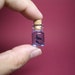Manta and diver are in a tiny bottle ver.1