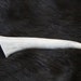 x1 Deer Antler Tip - Grade A, Real Bone, Antler, Taxidermy, A77900034