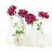 Vintage Medicine Bottles Apothecary Bottles Set of 6 Tiny Bud Vases