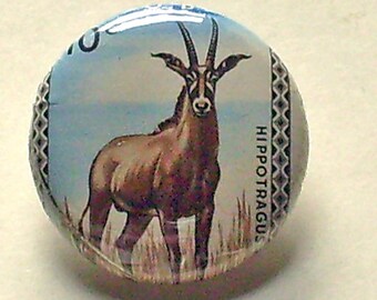 Congo Roan Antelope 1inch Button Vintage Postage Stamp