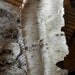 Untrimmed Natural Birch Bark for Crafts