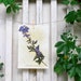 Wolfsbane Herbarium Specimen - Real Pressed Botanical Art (Aconitum uncinatum)