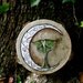 Crescent Moon and Luna Moth Tambourine