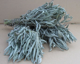 6 Bunches of Fragrant Sage - Dried Flowers