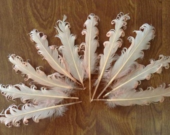 3 Loose Nagorie Feathers - Salmon Pink