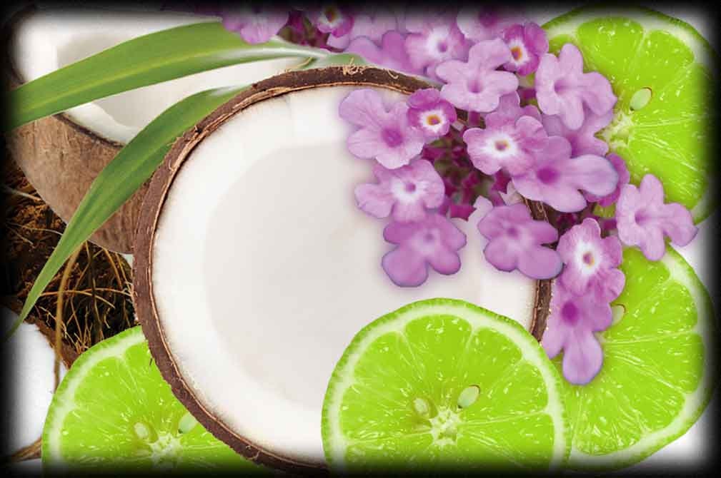 COCONUT LIME VERBENA 2 or 4 fl oz Citrus Gourmand Perfume