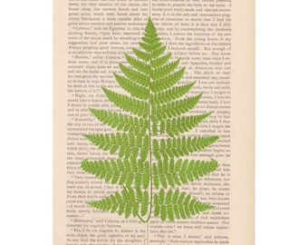 dictionary art print green garden Fern botanical floral wall decor ...