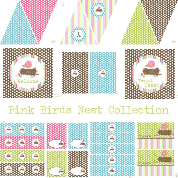 Bird Birthday Party, Bird Baby Shower Decorations, Bird Birthday Decorations, Bird Party Decorations, Birds Nest Shower, Girl Birthday, Il_570xn