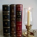 Brass Collection Hurricane Lamp/ Candle Holder