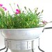 Aluminum Vintage Fruit Strainer