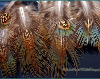 Pheasant Feathers Craft Supplies Brown Feathers Natural Bird Feathers Fringe Fly Fishing Small Craft Feathers Embellishments - 15