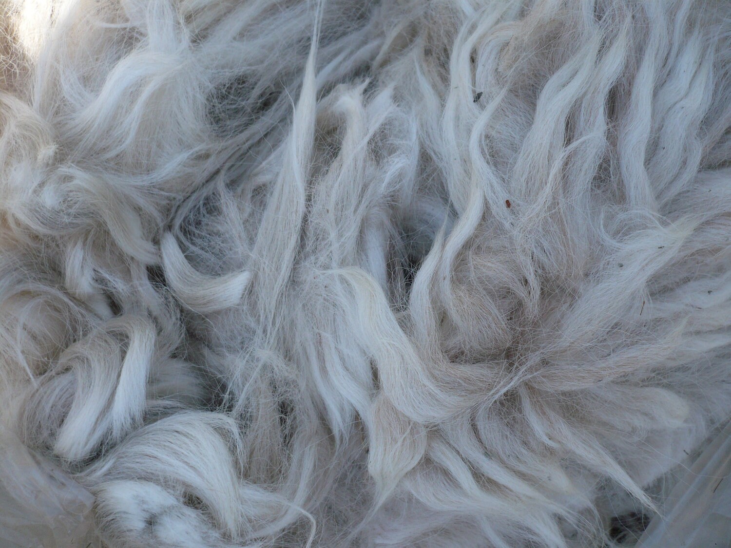 Reserved for Julie: Raw Alpaca Fiber by VintageCanineCouture