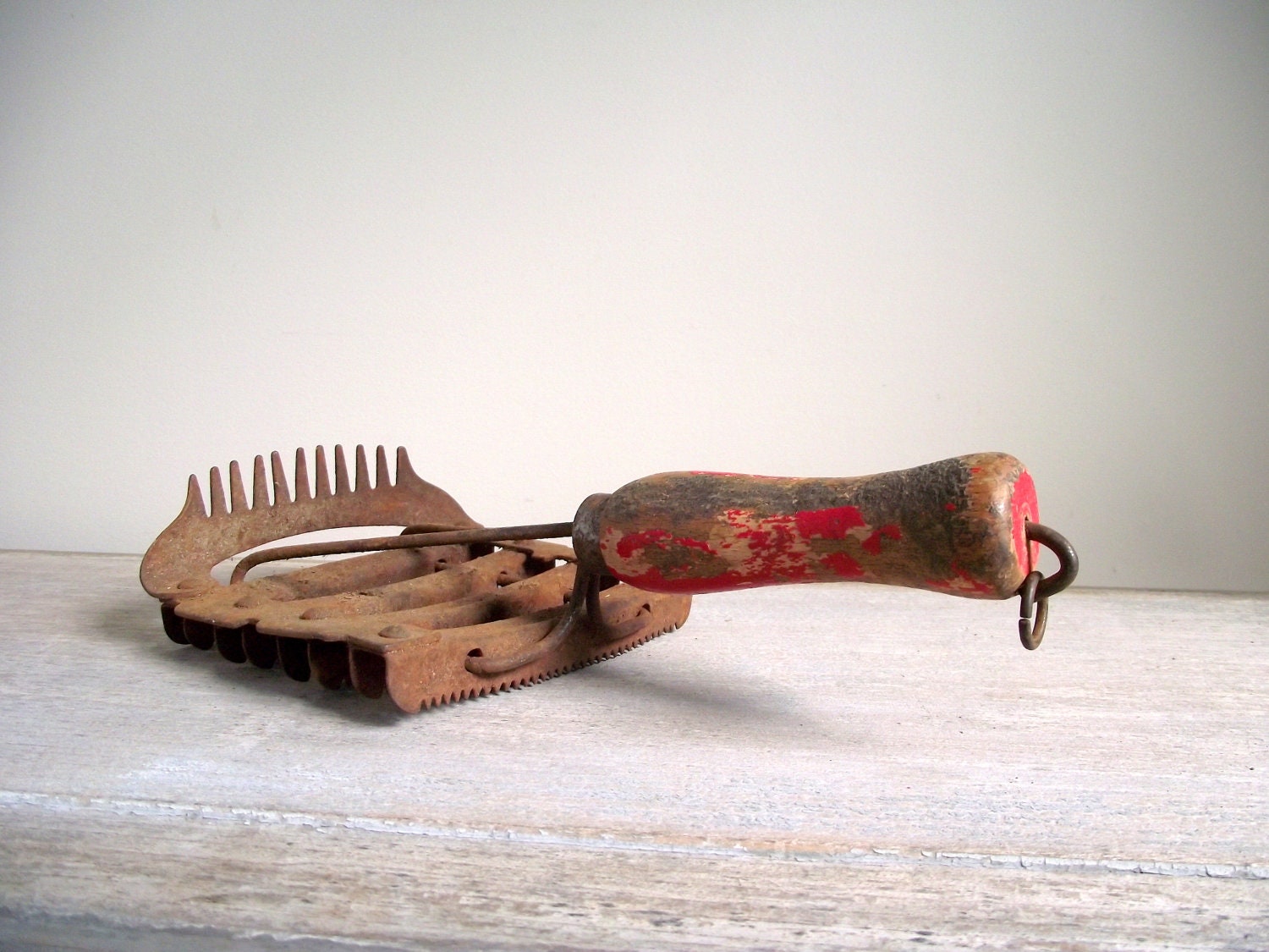 Horse Curry Comb Vintage Equestrian Grooming Tool Farmhouse