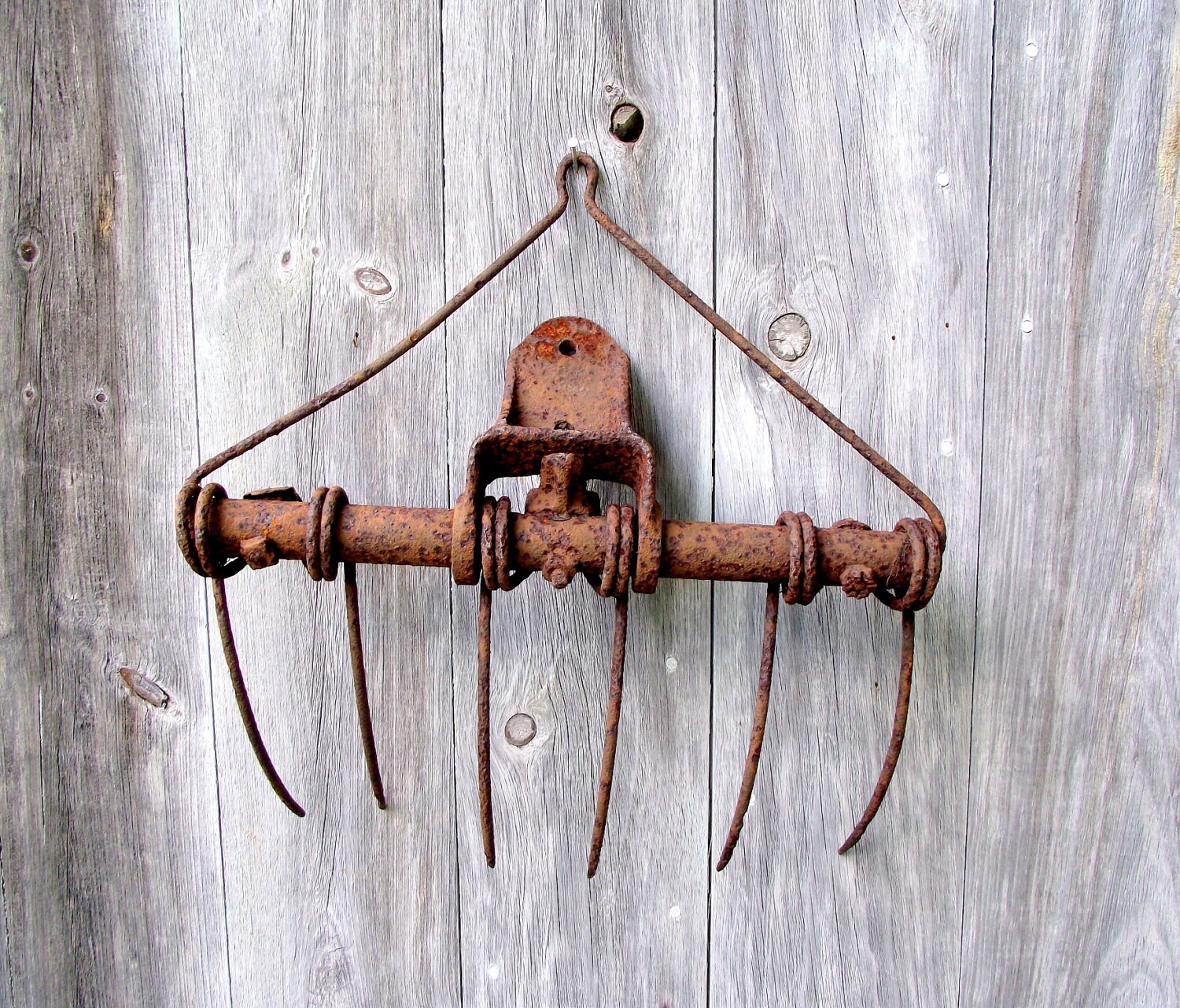 Hay Loader Fork / Rare Vintage Farm Find / Hay Rake Salvage