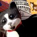 Vintage 1993 Socks the Whitehouse Cat Collectible Plush Toy