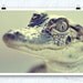 Louisiana photography, american alligator, nursery room decor, Lil' Gator, 8x10 metallic print