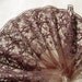 1 yard width beautiful shimmering net embroidery Lace trim to altered your couture designs