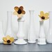 Milk Glass Vase Collection