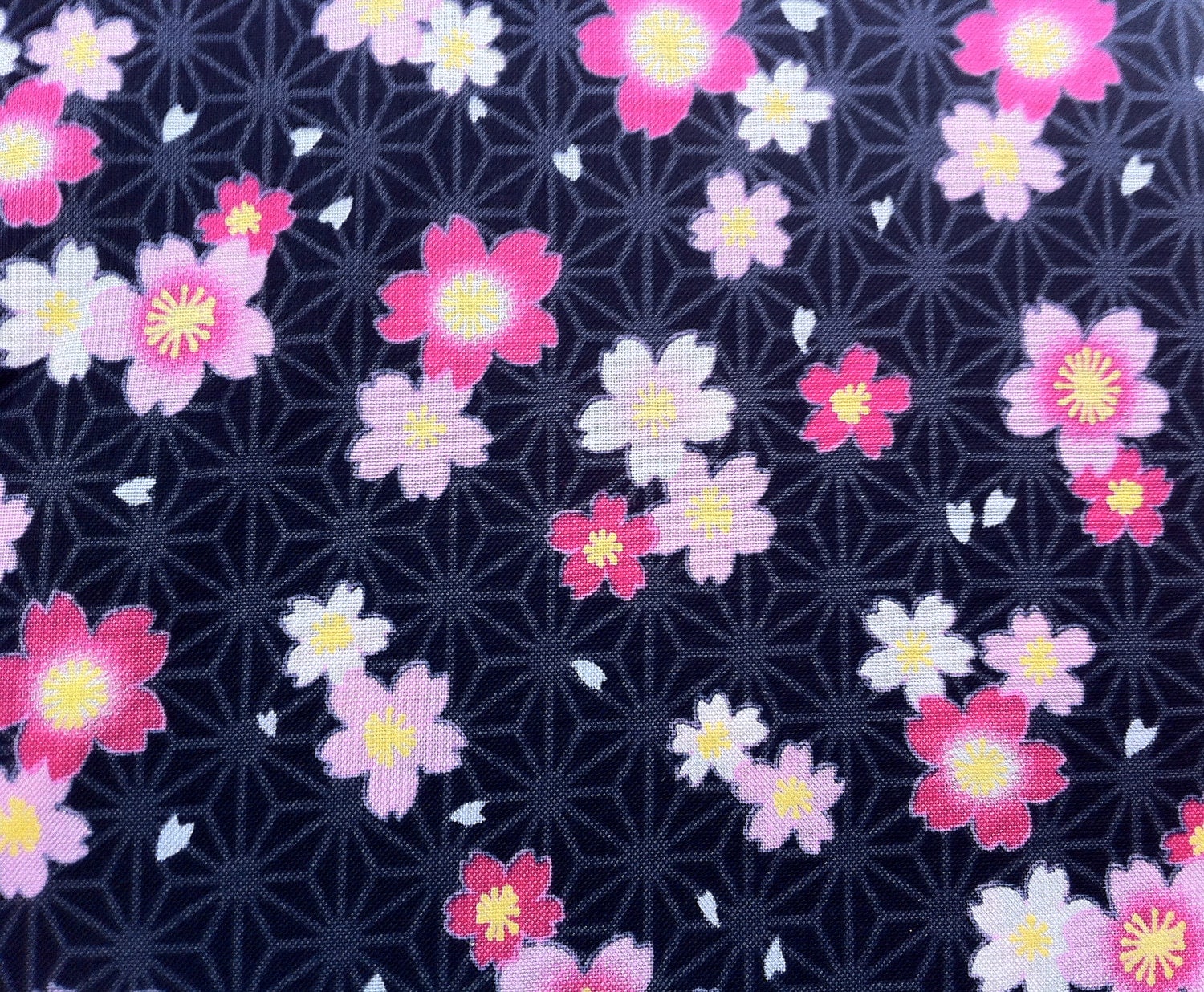 Pink cherry blossom Japanese fabric on black by Kona Bay Its