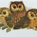 Pair of Vintage Framed Owl Prints from 1972