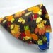 Dog Collar Bandana / Scarf, Thanksgiving Harvest LARGE