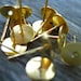 Earring Studs, Gold Plated, 8 mm, 100 pairs, Nickel Free