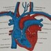 Vintage Heart Organ T-Shirt Tee Shirt Retro T-Shirt Medical Soft Thin Screen Stars