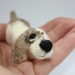 Dog Esson