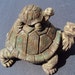 Turtle Parent and Baby ooak finish