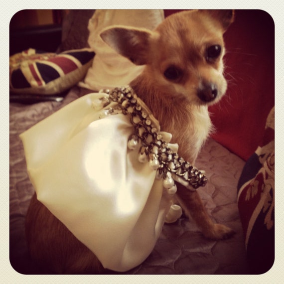 DOGGY COUTURE  Damsel Dress Extra Small by Talulahblueburlesque