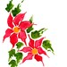 Handpainted Greeting Cards, Set of 10, Christmas cards set, Original Watercolor Art, red poinsettias, green and red, Happy Holidays,