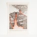 Volcano Cross Section Illustration - Vintage Art Bookplate
