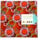 Moda - Juggling Summer Layer Cake - Zen Chic