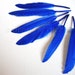 COBALT BLUE duck feathers / 3-4.5 in (7.5-11.5 cm) long, 12 pieces / F37-2