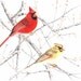 Cardinal pair 8x10 original watercolor painting of wild birds home decor earthspalette