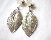 Broad Leaf Silver Earrings