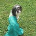 Unique and Awesome Mermaid Dog Halloween Costume size Large