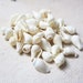 Small Cone Seashell Beads, 11 mm - 13 mm, 65 Shell Beads