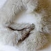 1920s Silver and White Fox Fur Shawl or Scarf