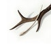 Antler Hair Stick Hair Pin Deer Tribal Hair Fork Deer Antler Carving Hairpin Hair Accessory MariyaArts