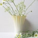 Painted Glass Vase Shabby Chic Orange and White Creamsicle