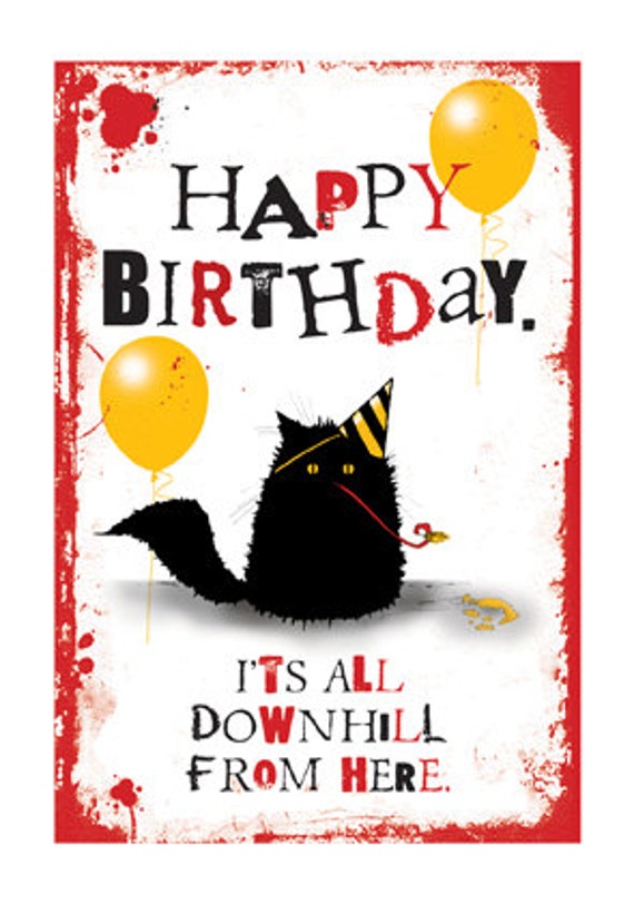 Happy Birthday It's All Downhill From Here cute cat