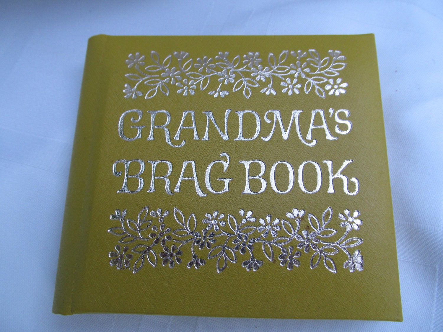 Vintage Grandma’s Brag Book for Photos